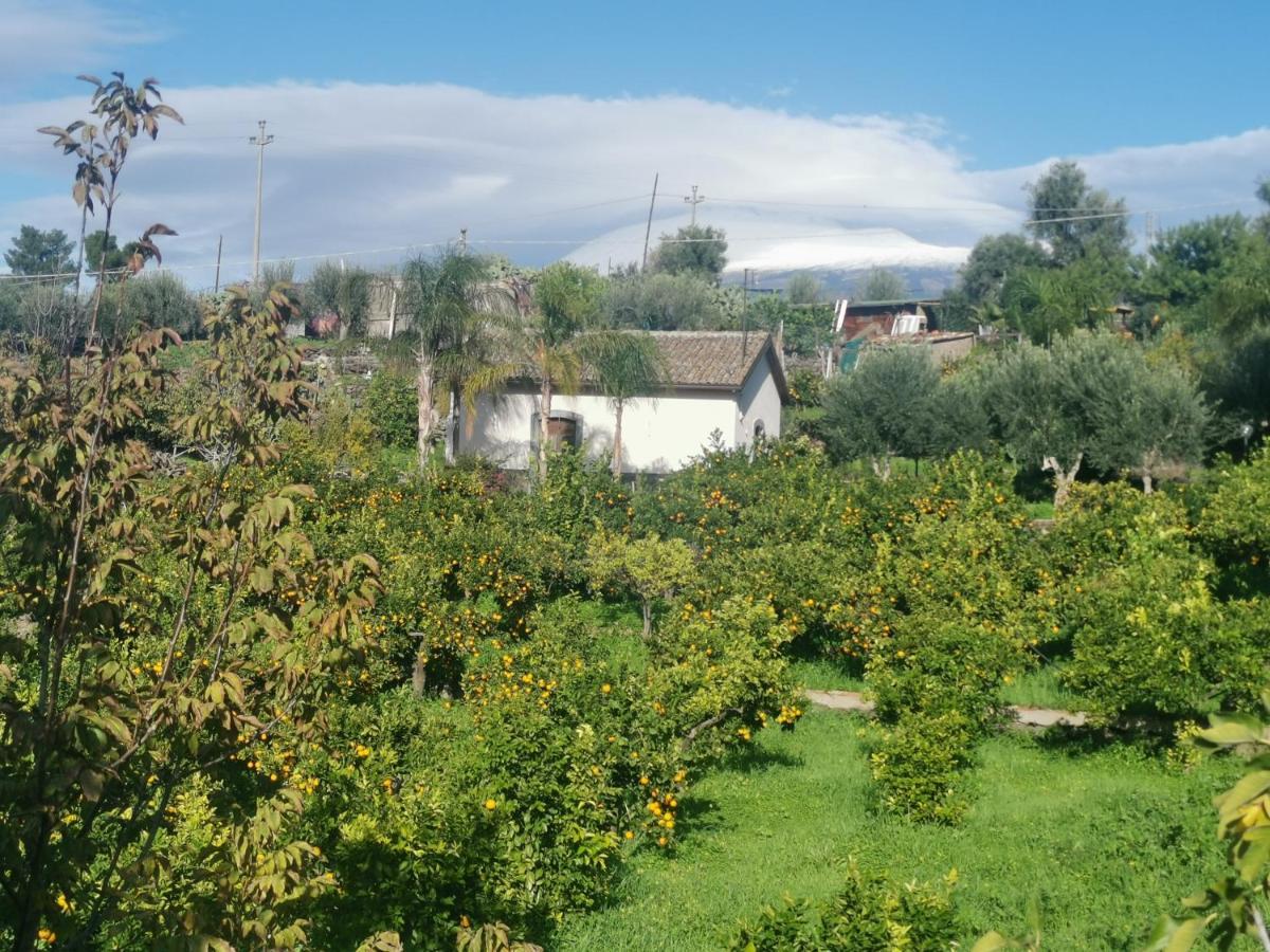 La Fattoria Dei Nonni Guest House Paterno  Exterior photo